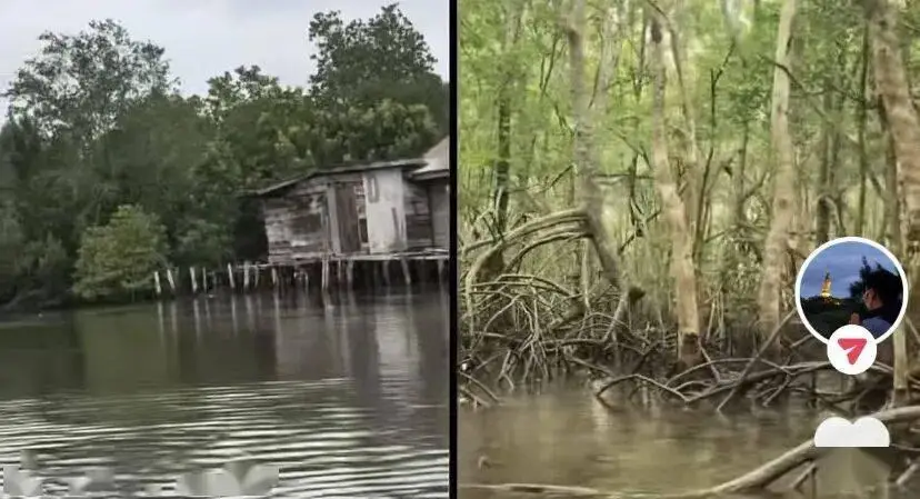 老年人出國旅遊到底有多real？