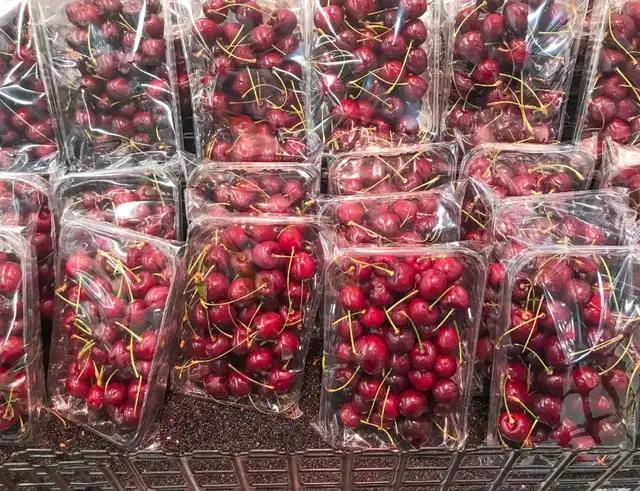 收藏！車釐子海運 + 家用儲存全攻略，甜到最後一顆