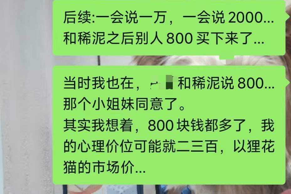 當街虐貓勒索800元：法律沉默時，善良必須支付贖金嗎？
