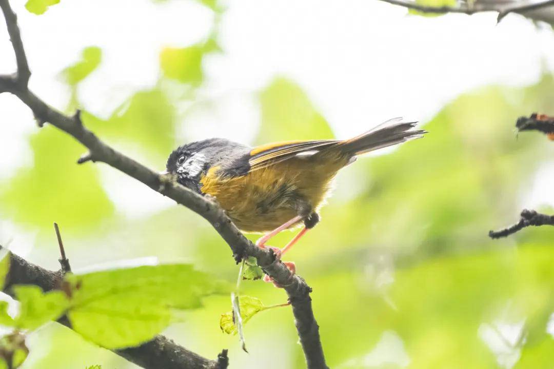 國際旅遊攝影網2026年國內外攝影路線全景指南