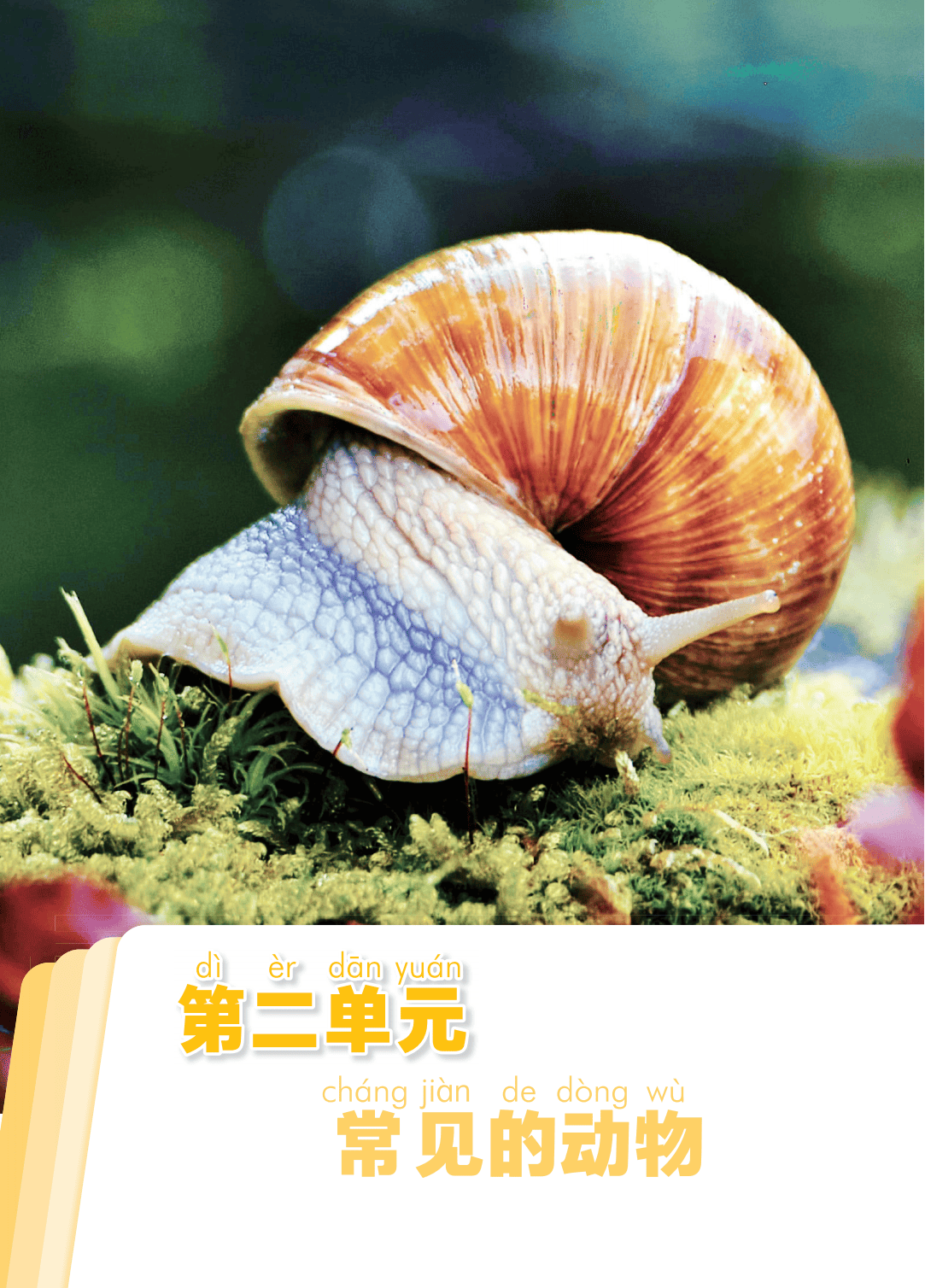 2026青島版一年級科學下冊電子課本(PDF高畫質版新教材)