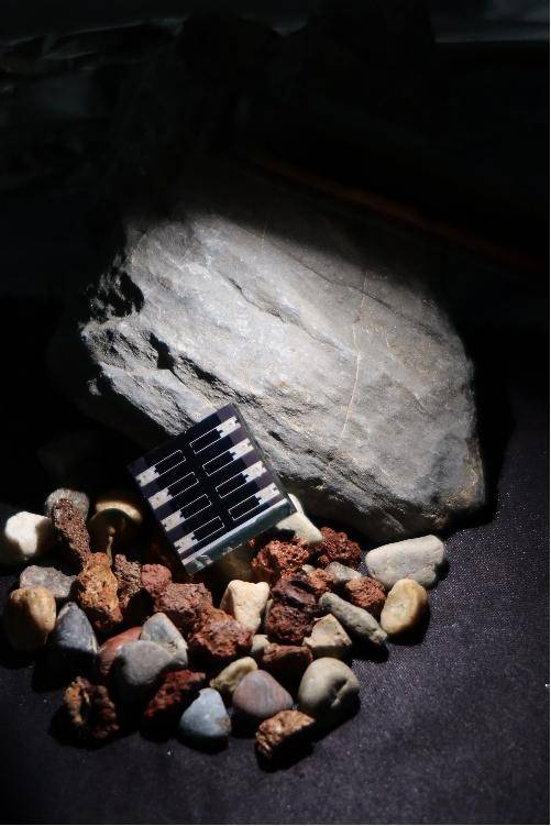 首次、首創、新突破！上週，我國科技發展再添新成果