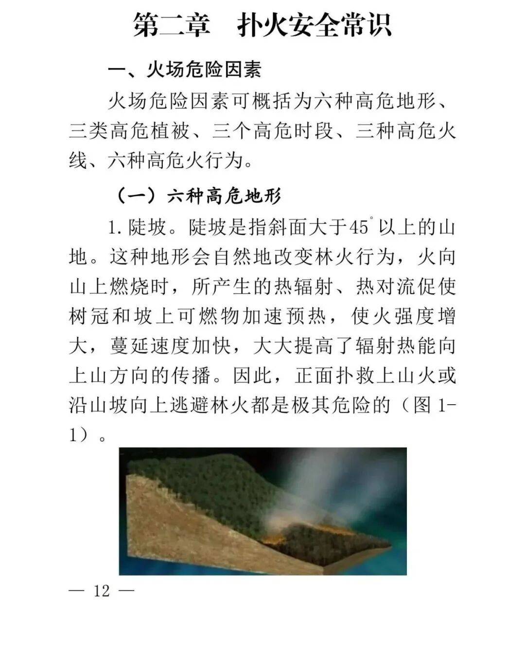 學習收藏！雲南省森林草原火情早期處理與安全撲救手冊