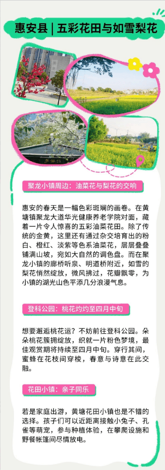 收藏！泉州春日賞花去哪裡？花期+地址全攻略