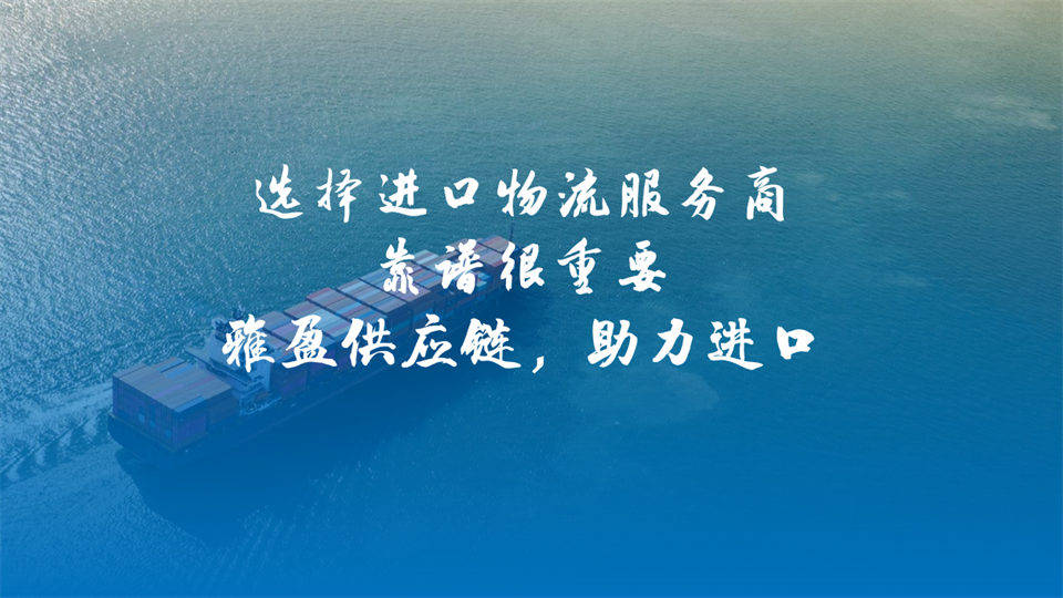 解鎖日本美食新機遇：雅盈為您提供專業清關與物流方案