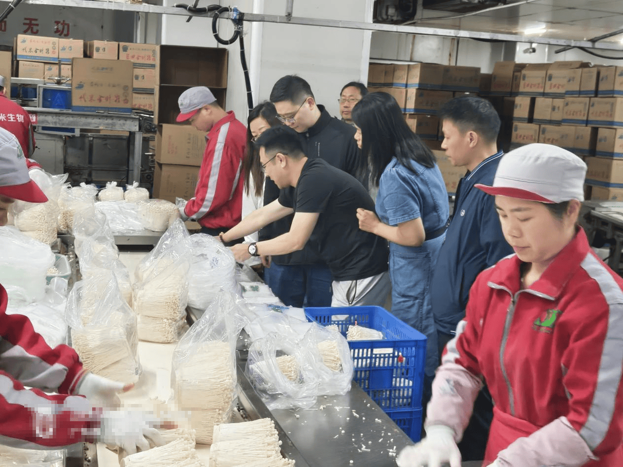 仲愷農業工程學院科技特派員團隊赴豐順縣開展產學研調研